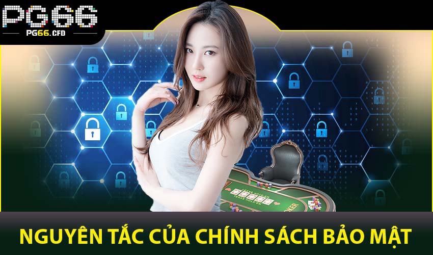 Nguyên tắc hoạt động của chính sách bảo mật PG66