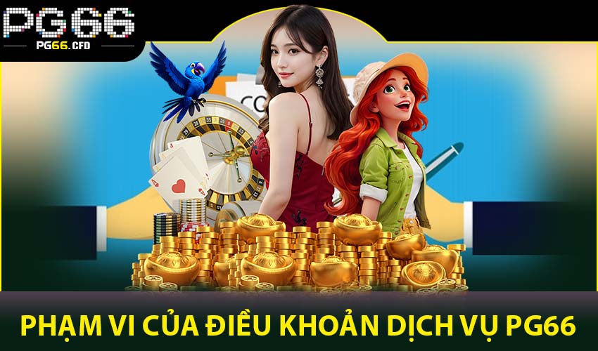 Phạm vi áp dụng điều khoản dịch vụ PG66